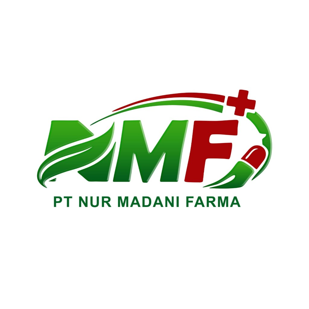 PT NMF